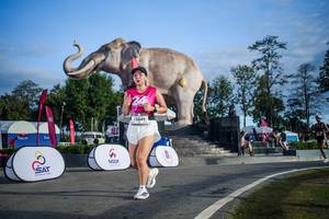 BIB: 
                            <button type="button" onclick="openModal(26542014)" class="btn btn-primary btn-sm float-right btn-popup" data-toggle="modal" data-target=".modal-high-quality">
                        <i class="fas fa-shopping-cart"></i> Add to Cart
                    </button>
                                            <button type="button" onclick="isThisMe(26542014, true)" class="btn btn-success btn-sm float-right btn-popup btn-isme hidden" data-toggle="tooltip" data-placement="bottom" title="นี่คือรูปของคุณใช่ไหม คลิกที่นี่เพื่อเอาเข้าอัลบั้ม">
                        <i class="fas fa-plus"></i> Add to album
                    </button>
                    <button type="button" onclick="isThisMe(26542014, false)" class="btn btn-warning btn-sm float-right btn-popup btn-isnotme hidden">
                        <i class="fas fa-ban"></i> Remove from album
                    </button>